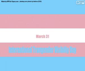 yapboz Uluslararası Transgender Görünürlük Günü